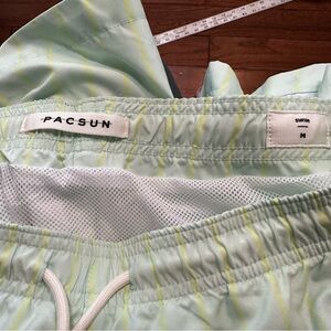 PacSun Mint Green Swim Trunks
